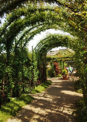 f:id:bluemoonbell:20140504142710j:image