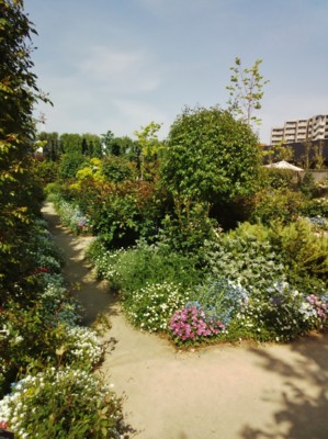 f:id:bluemoonbell:20140504143133j:image