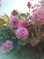 20140504143249