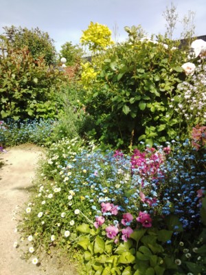 f:id:bluemoonbell:20140504143454j:image