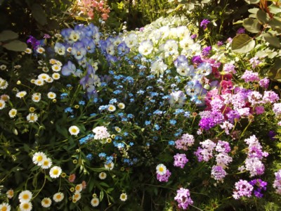 f:id:bluemoonbell:20140504143537j:image