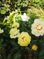 20140504144052