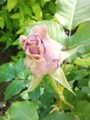20140504144352