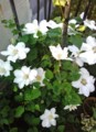 20140511053029