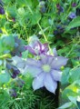 20140511053306