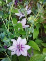 20140511053321