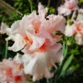 20140515210059