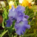 20140515210131