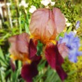 20140515210146