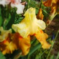 20140515210159