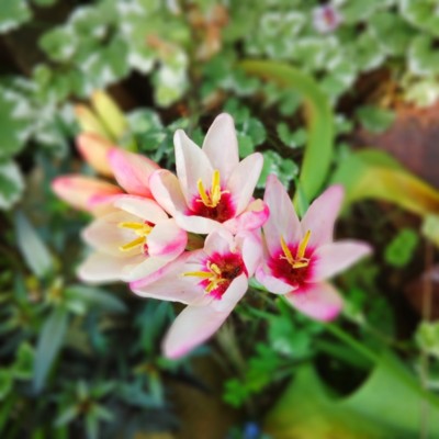 f:id:bluemoonbell:20140516203045j:image