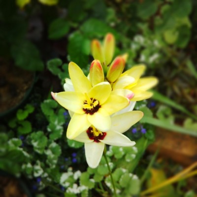 f:id:bluemoonbell:20140516203051j:image