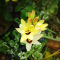 20140516203051