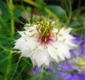 20140516203122