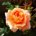 20140523212038