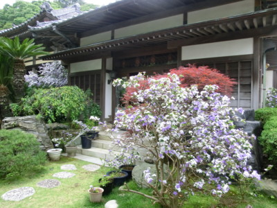 f:id:bluemoonbell:20140525131356j:image:left f:id:bluemoonbell:20140525131356j:image:left