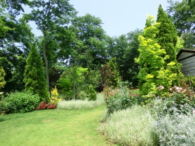 f:id:bluemoonbell:20140602111155j:image