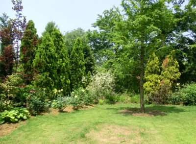 f:id:bluemoonbell:20140602111202j:image