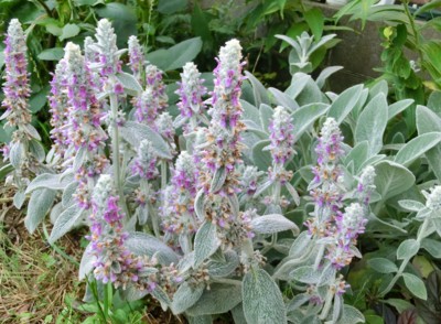 20140620064244