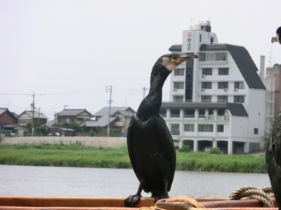 f:id:bluemoonbell:20140712135438j:image
