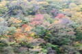 20141027134354