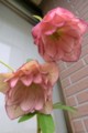 20150227142649