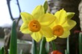 20150227142734