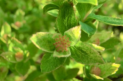 f:id:bluemoonbell:20150331072912j:image