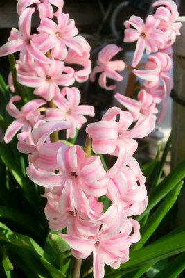 f:id:bluemoonbell:20150331073131j:image