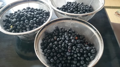 f:id:bluemoonbell:20150805135742j:image:right