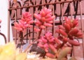 20160303130816
