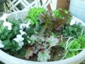 20160303131052
