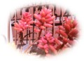 20160303133254