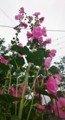 20160616121802