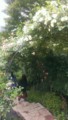 20160616130811