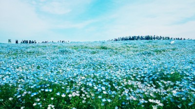 f:id:bluemoonbell:20170503135910j:image