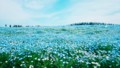 20170503135910