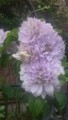 20170515105436