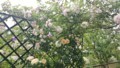 20170525130843