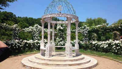 f:id:bluemoonbell:20170529114304j:image f:id:bluemoonbell:20170529114304j:image