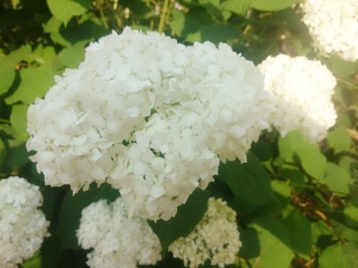 20170616163345