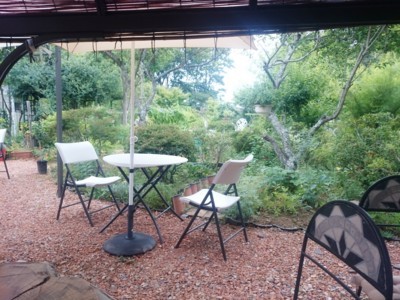 f:id:bluemoonbell:20170618111600j:image