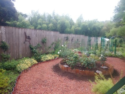 f:id:bluemoonbell:20170618121538j:image