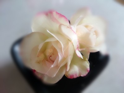 f:id:bluemoonbell:20170622073411j:image