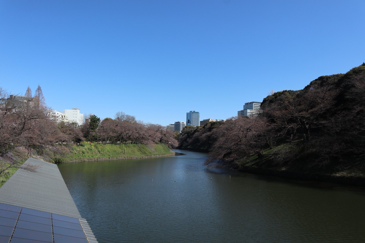 f:id:bluemoonbell:20190213181922j:plain