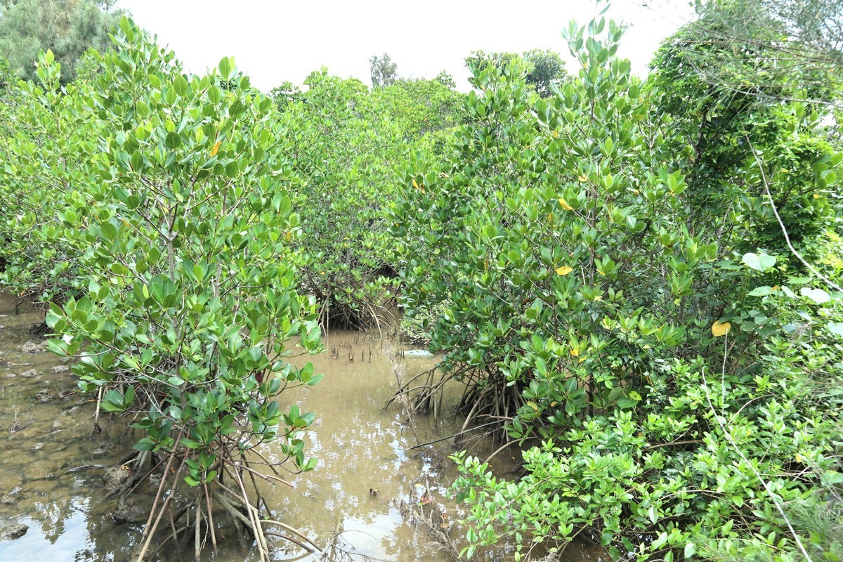 f:id:bluemoonbell:20190304211643j:plain