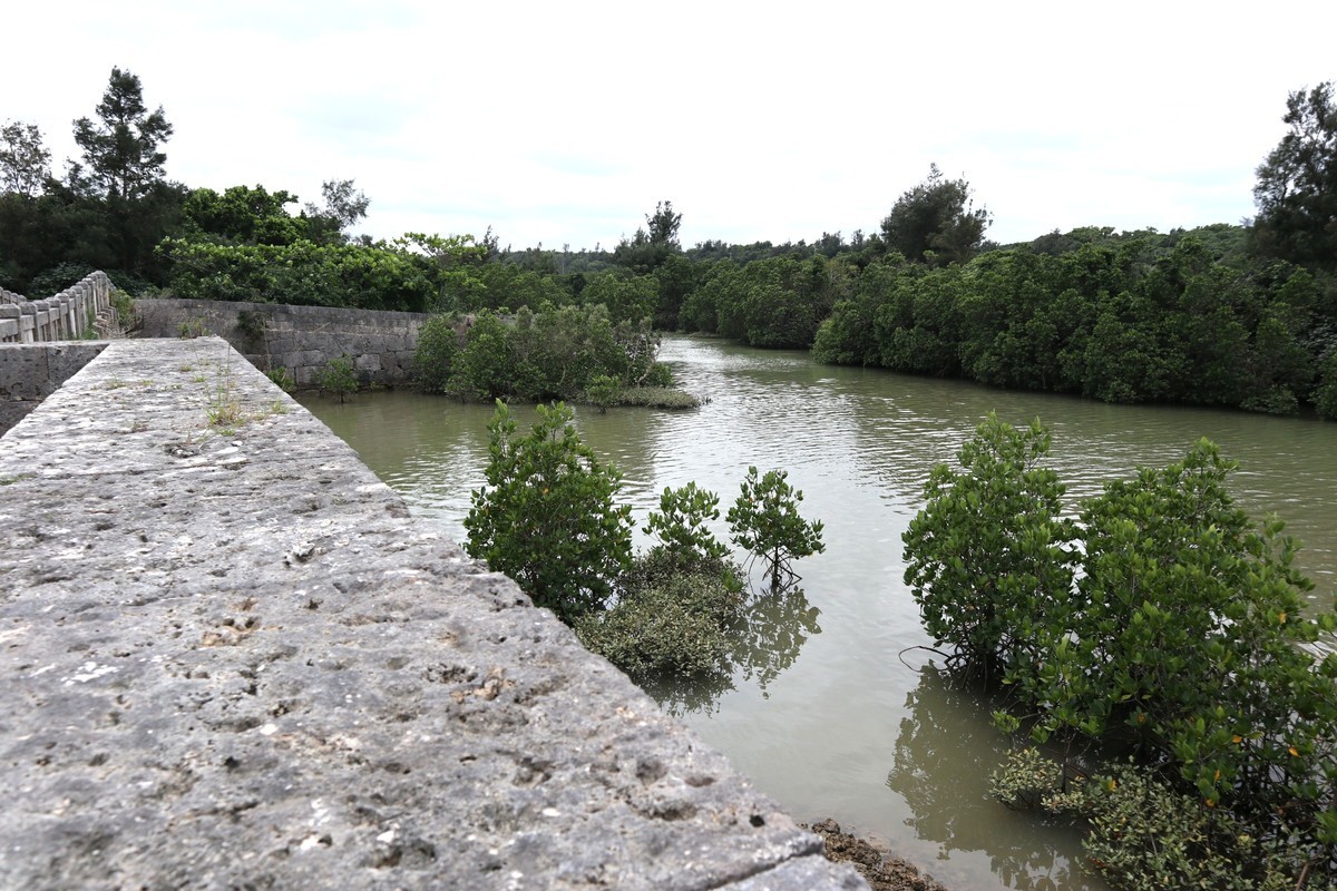 f:id:bluemoonbell:20190304211754j:plain