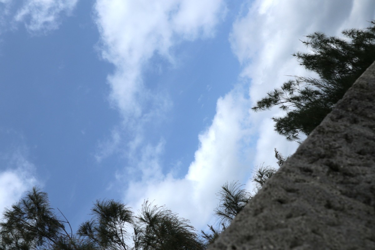 f:id:bluemoonbell:20190304211856j:plain