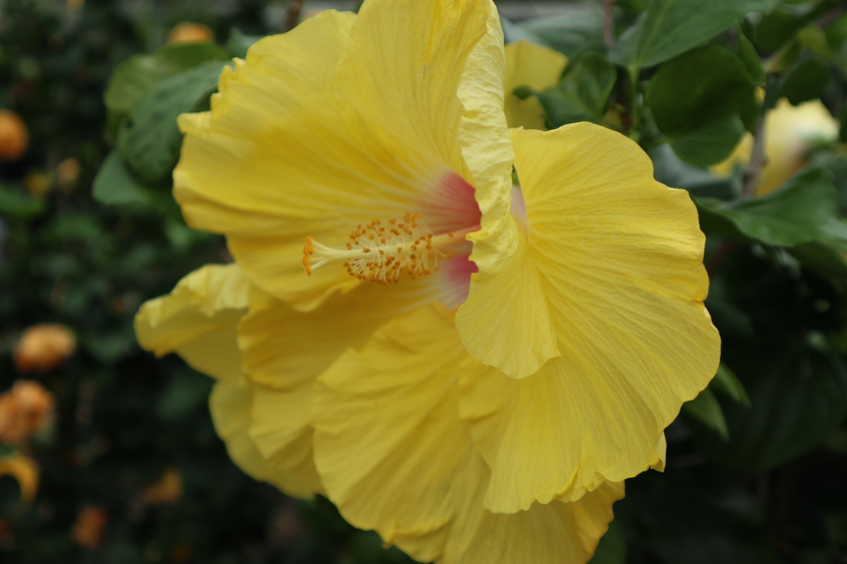 f:id:bluemoonbell:20190305204227j:image:w300