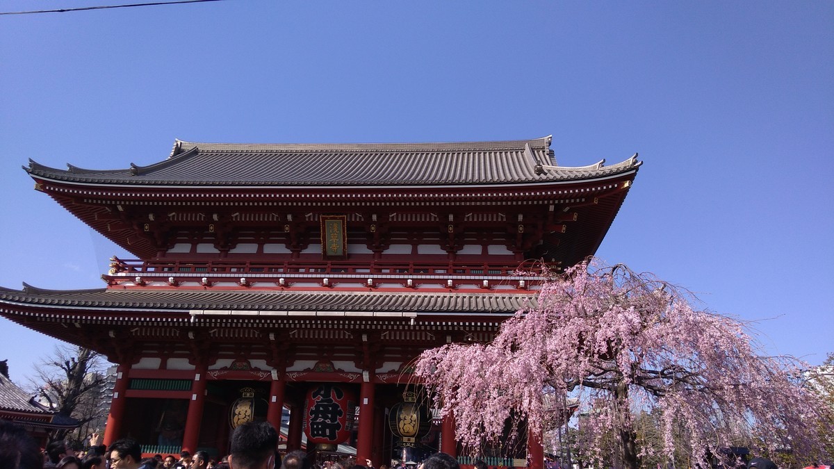 f:id:bluemoonbell:20190324144214j:plain